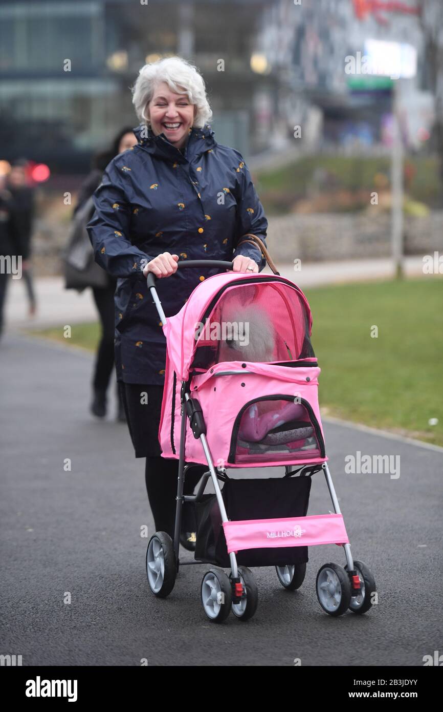 millhouse pet stroller