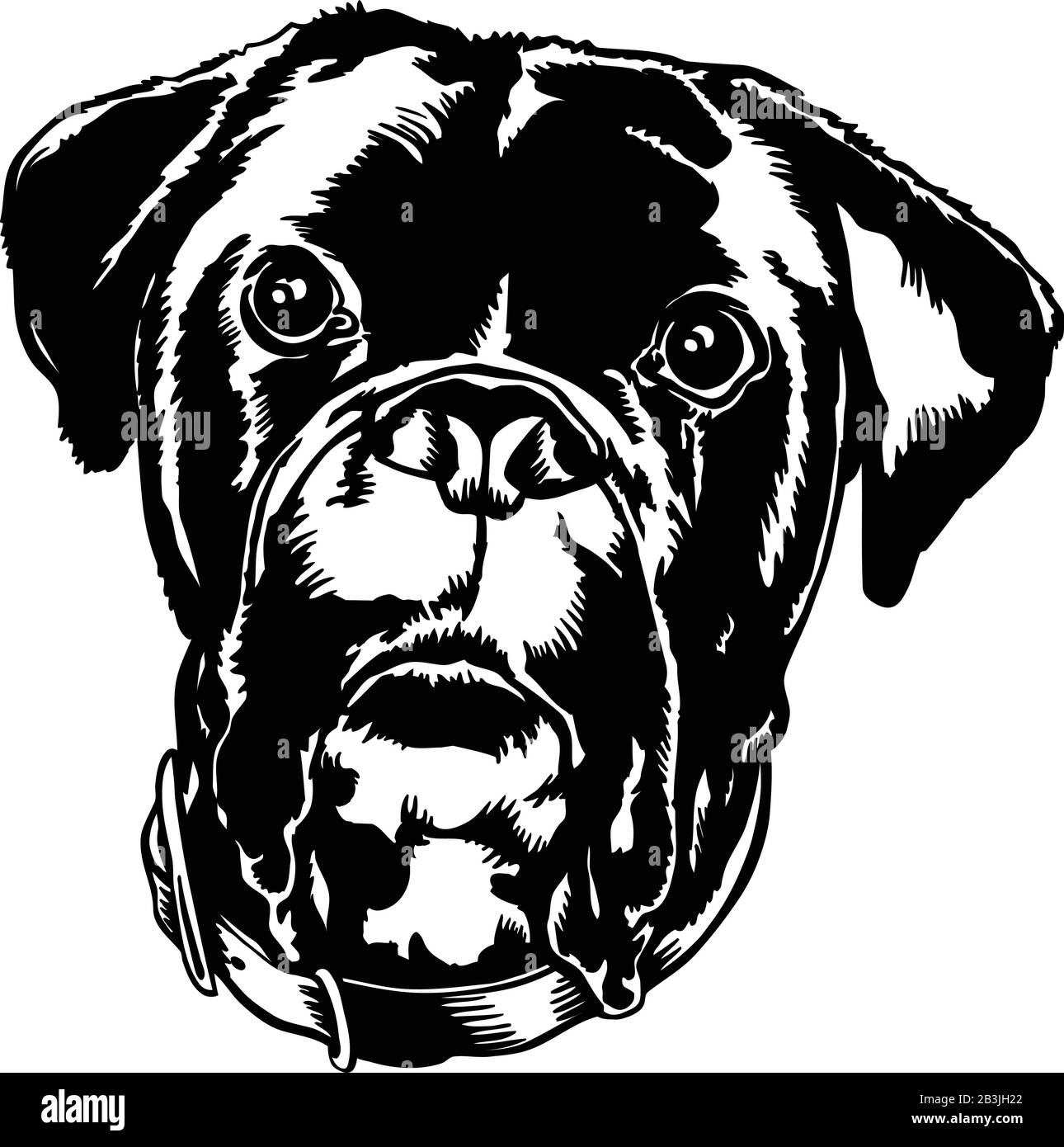 Boxer Bulldog Mix Head Vector Illustration Stock Vector