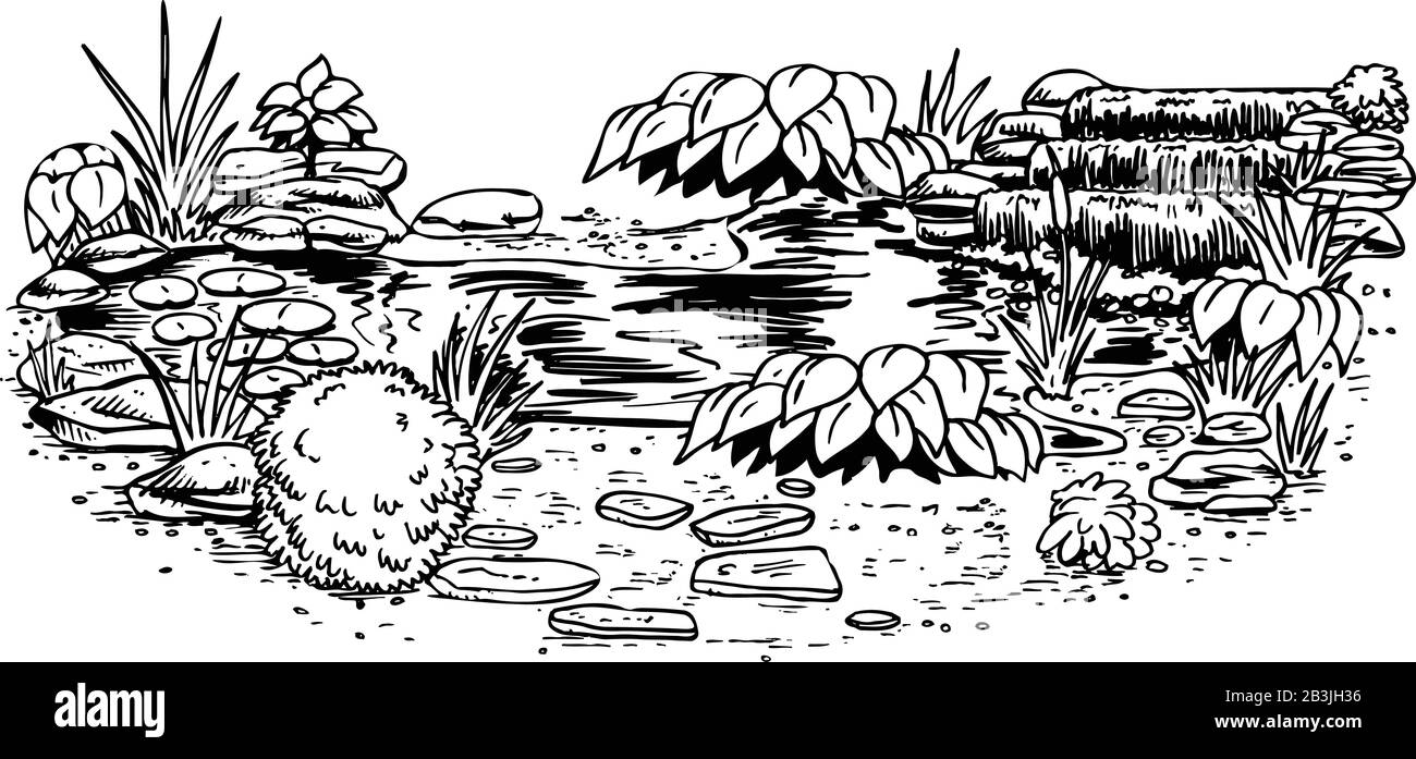 Pond Clipart Black And White