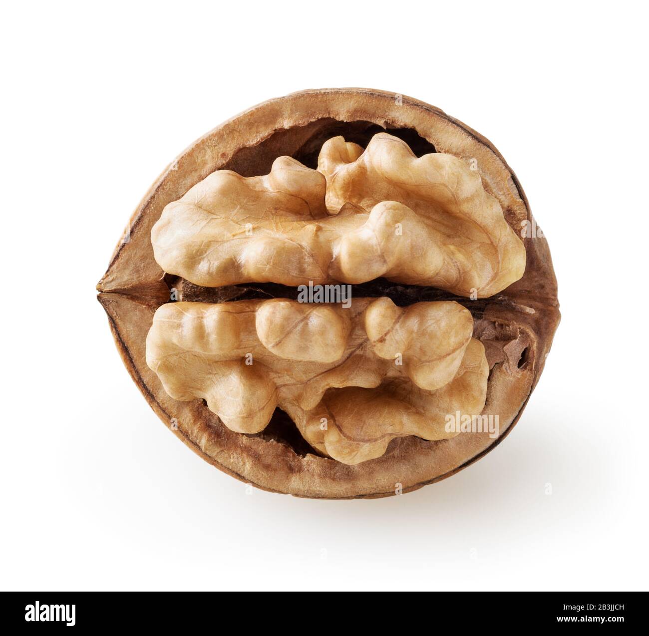 Wulnut isolated on white background with clipping path Stock Photo