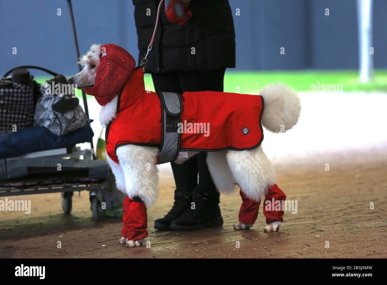 freemans day dresses