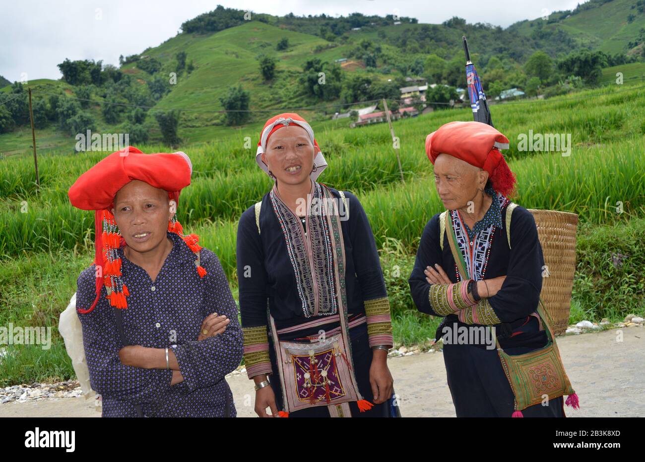 Frauen, Bergvolk, Rote Dao, Sa Pa, Vietnam Stock Photo