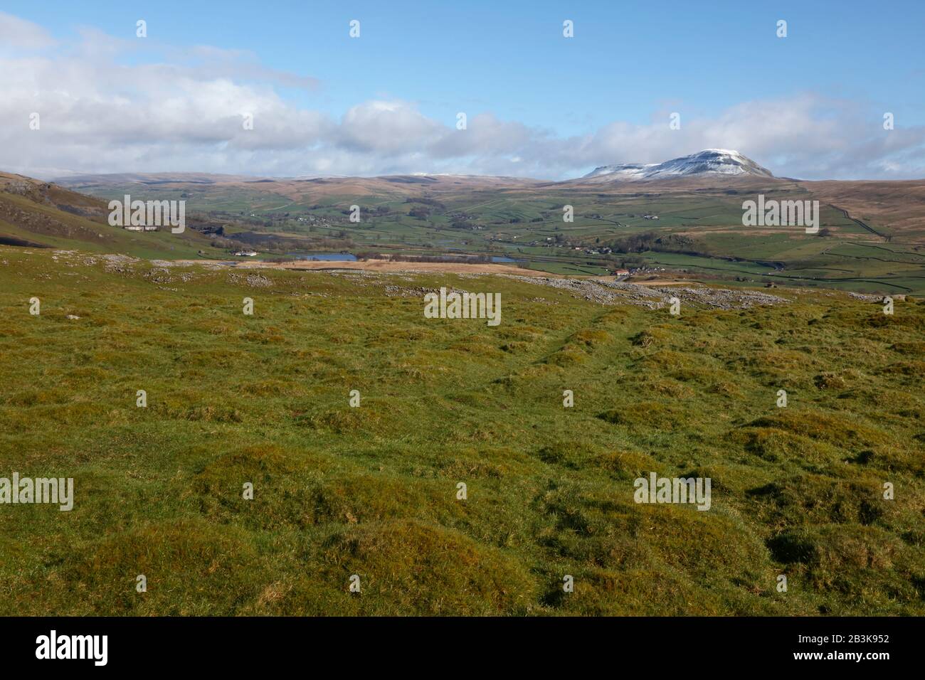 Pen y Ghent from Swarth Moor, Ribblesdale, Yorkshire Dales, Yorkshire, England, UK Stock Photo