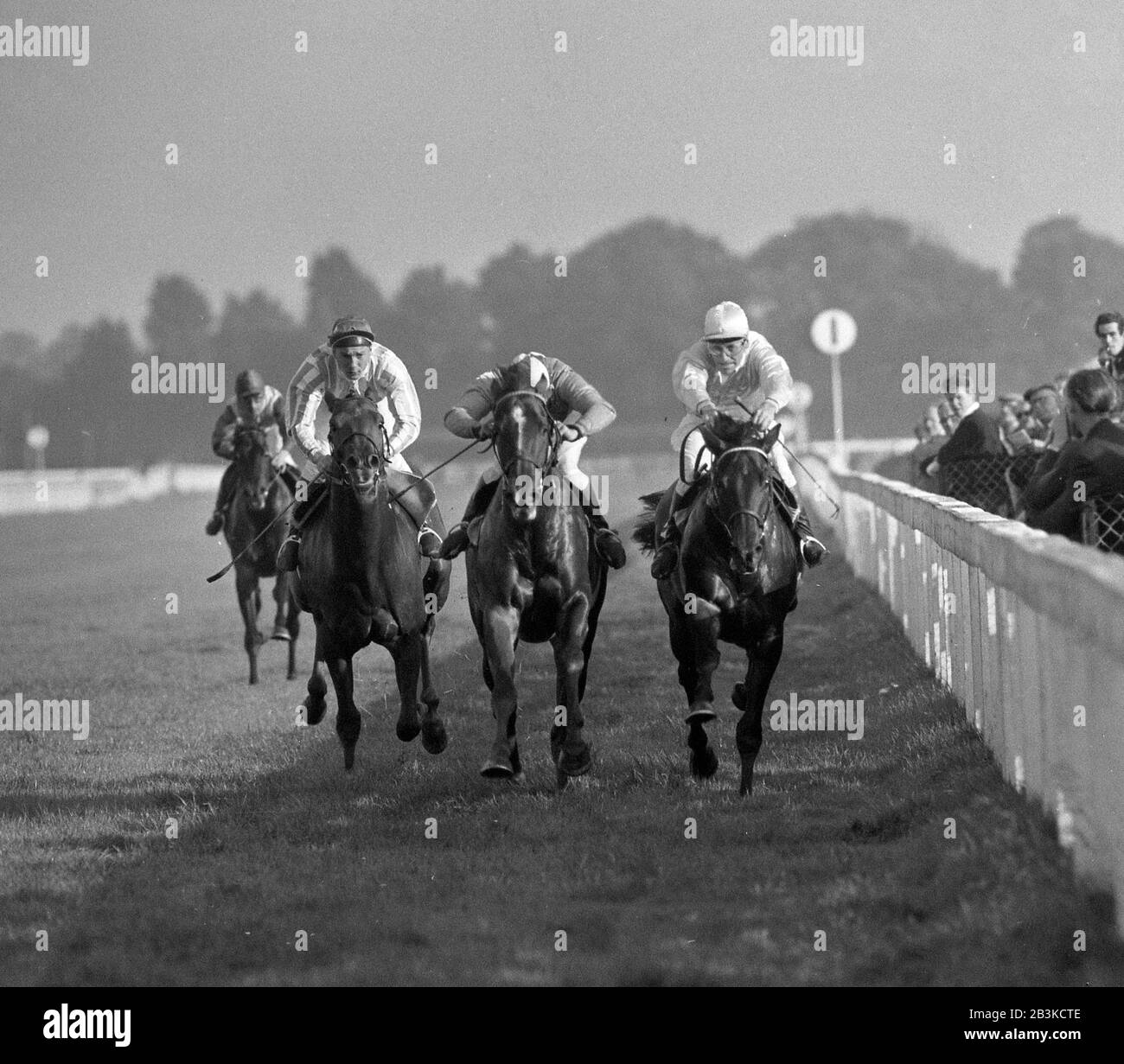 Horse race finishing post Black and White Stock Photos & Images - Alamy