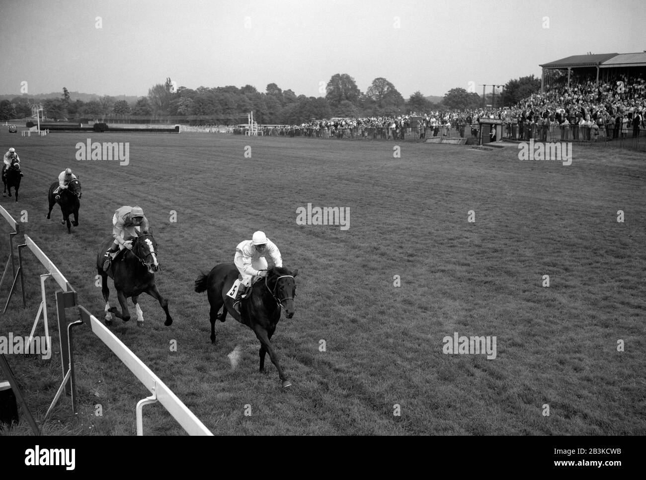 Mrs H.H. Renshaw's Derring-Do, ridden by A. Breasley, wins by three-quarters of a length from Mr James McShane's Young Christopher, Lester Piggott up, in the Cavendish Stakes at Sandown Park. Stock Photo
