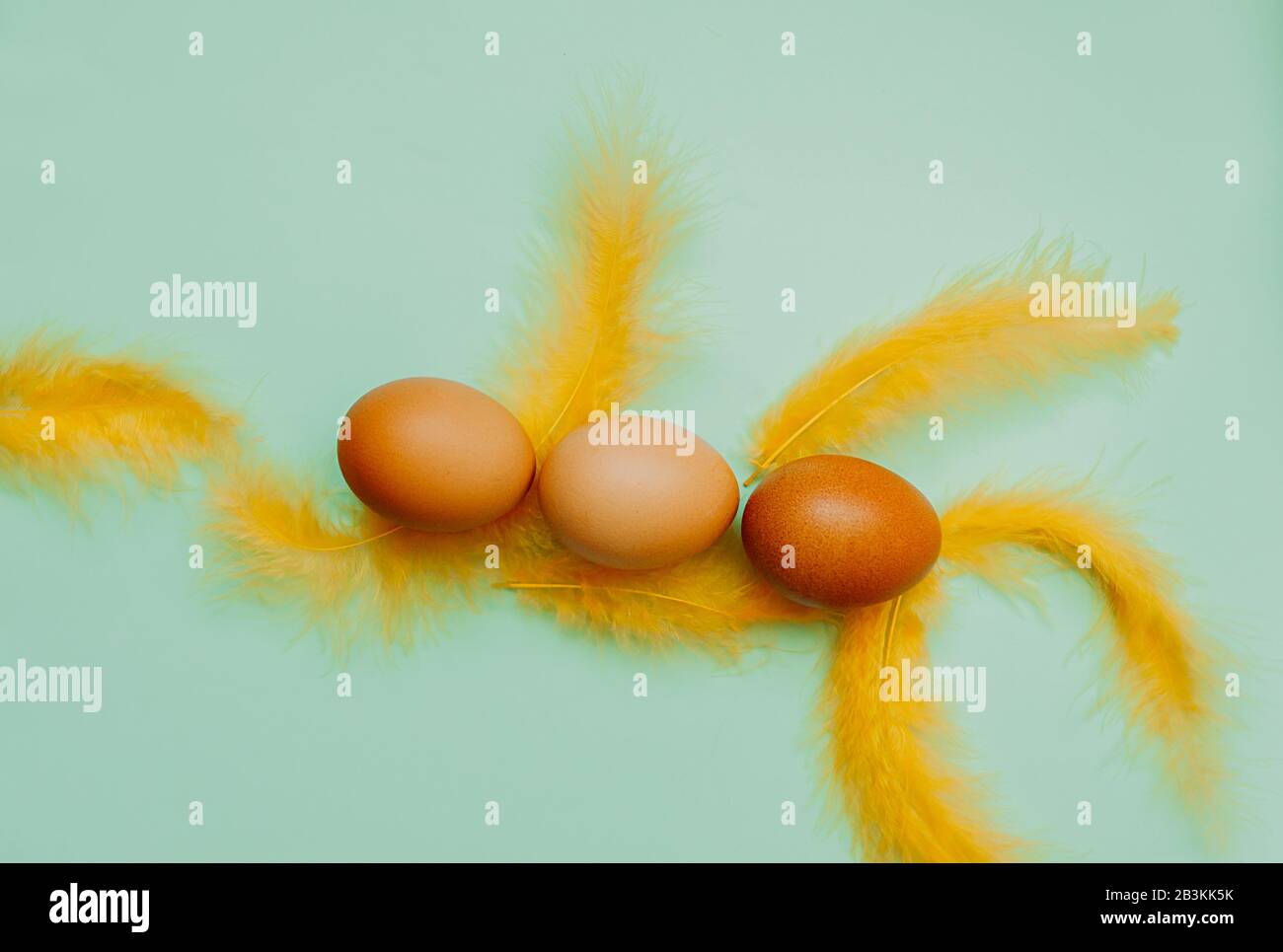 Three Plain chicken easter eggs with yellow fluffy feathers on a light blue background. Easter ready minimalism layout, flat lay Stock Photo
