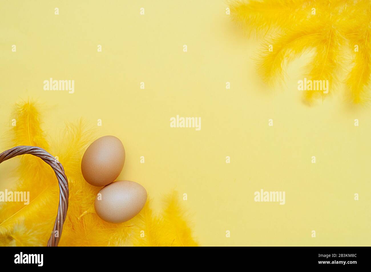 simple chicken Easter eggs with yellow fluffy feathers in a small wicker basket with a high handle on a yellow background. Happy Easter wallpaper mock Stock Photo