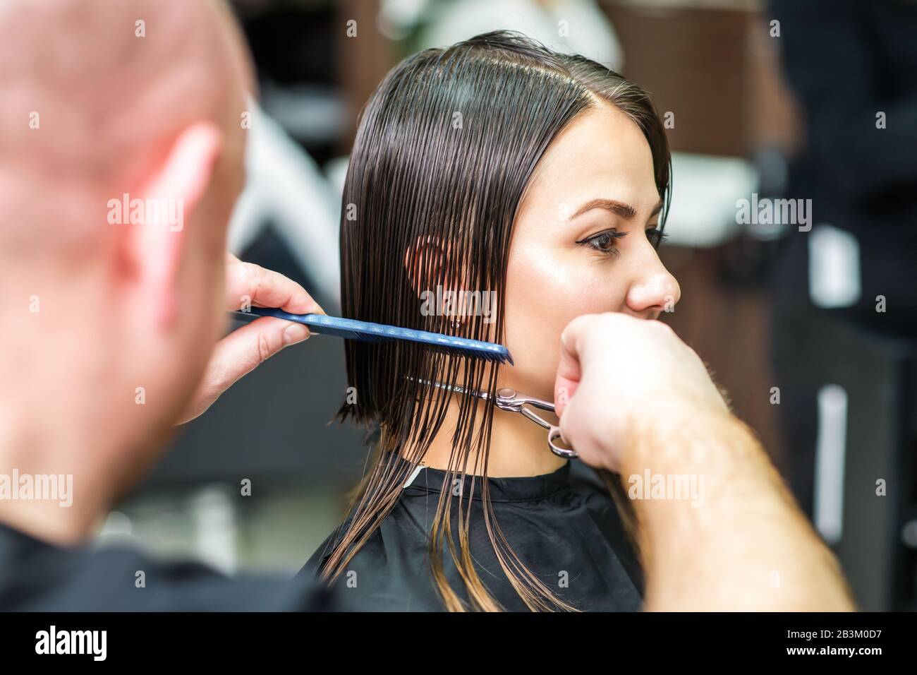 Side view of hairdresser cutting hair of woman Stock Photo - Alamy
