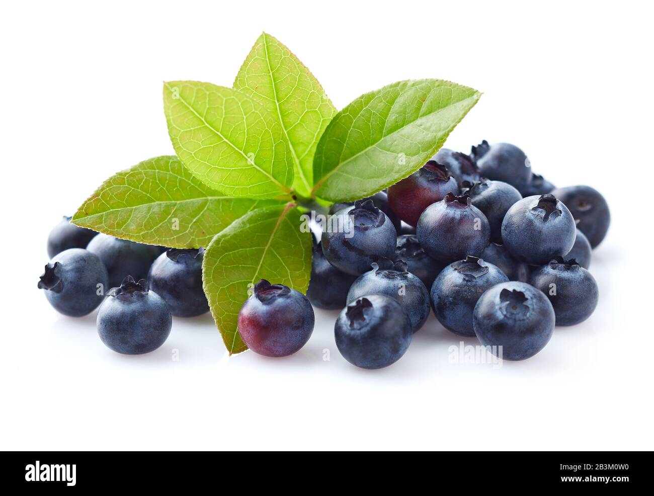 Blueberry with leaves Stock Photo Alamy