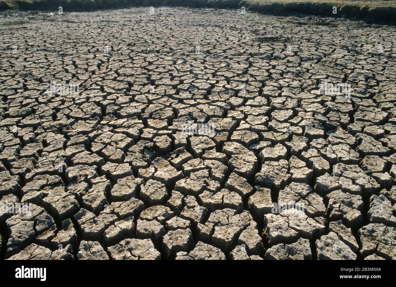 drought, India, Asia Stock Photo