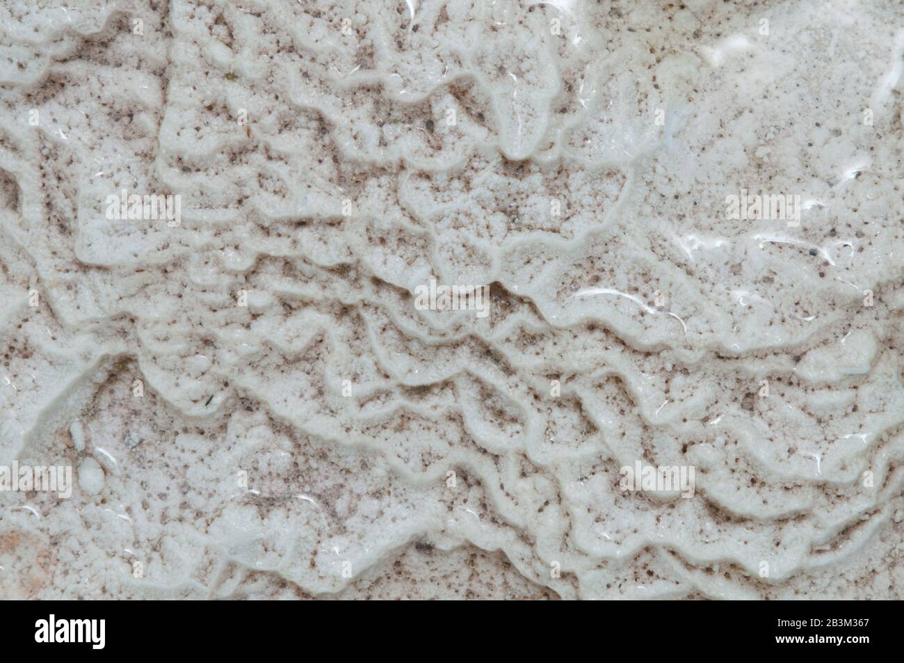 Such pattern is made from adarce (Caucasus Mountains). Travertine is a form of limestone deposited by mineral springs. Stock Photo