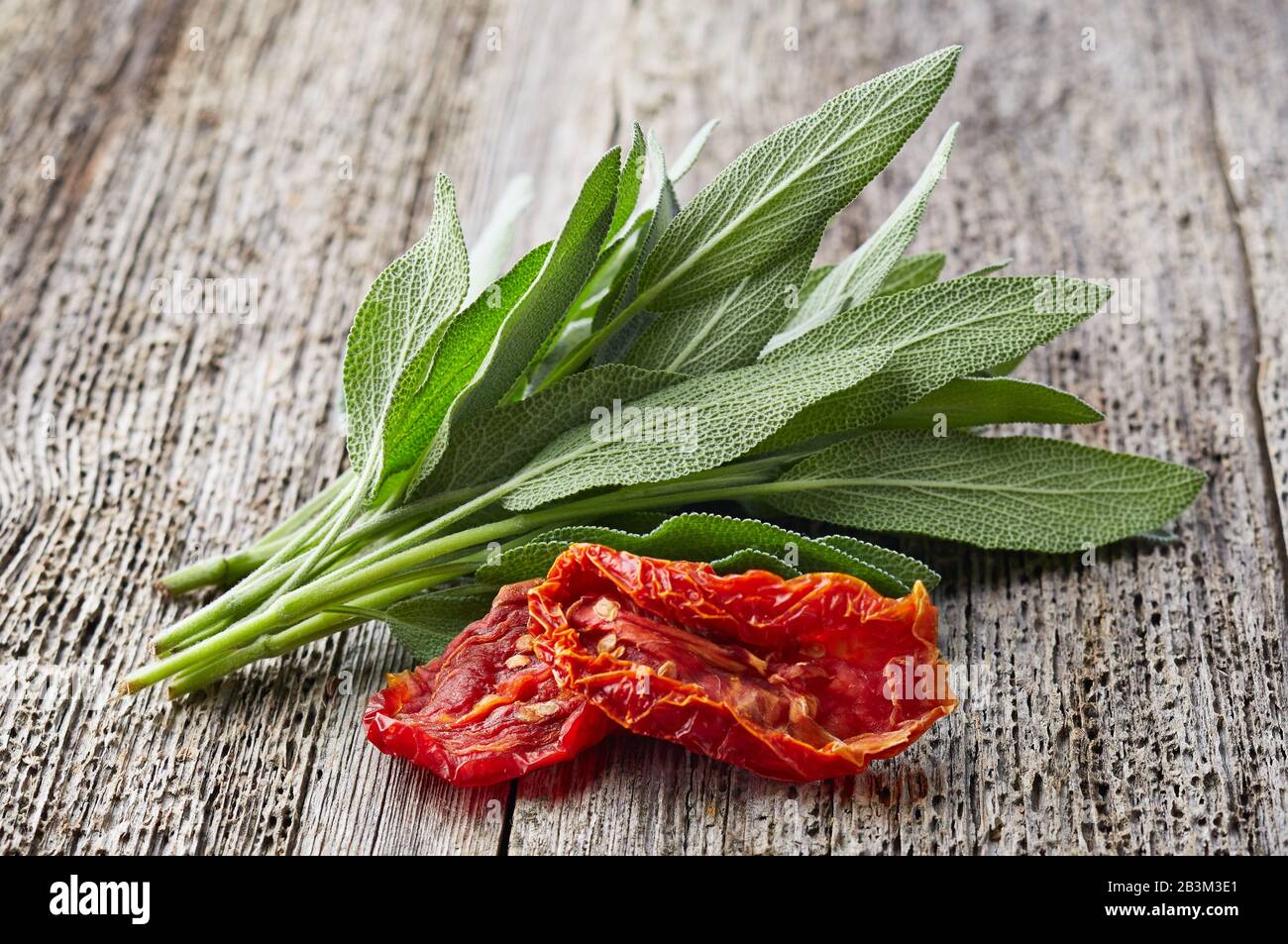 Sage plant with dry tomato Stock Photo Alamy