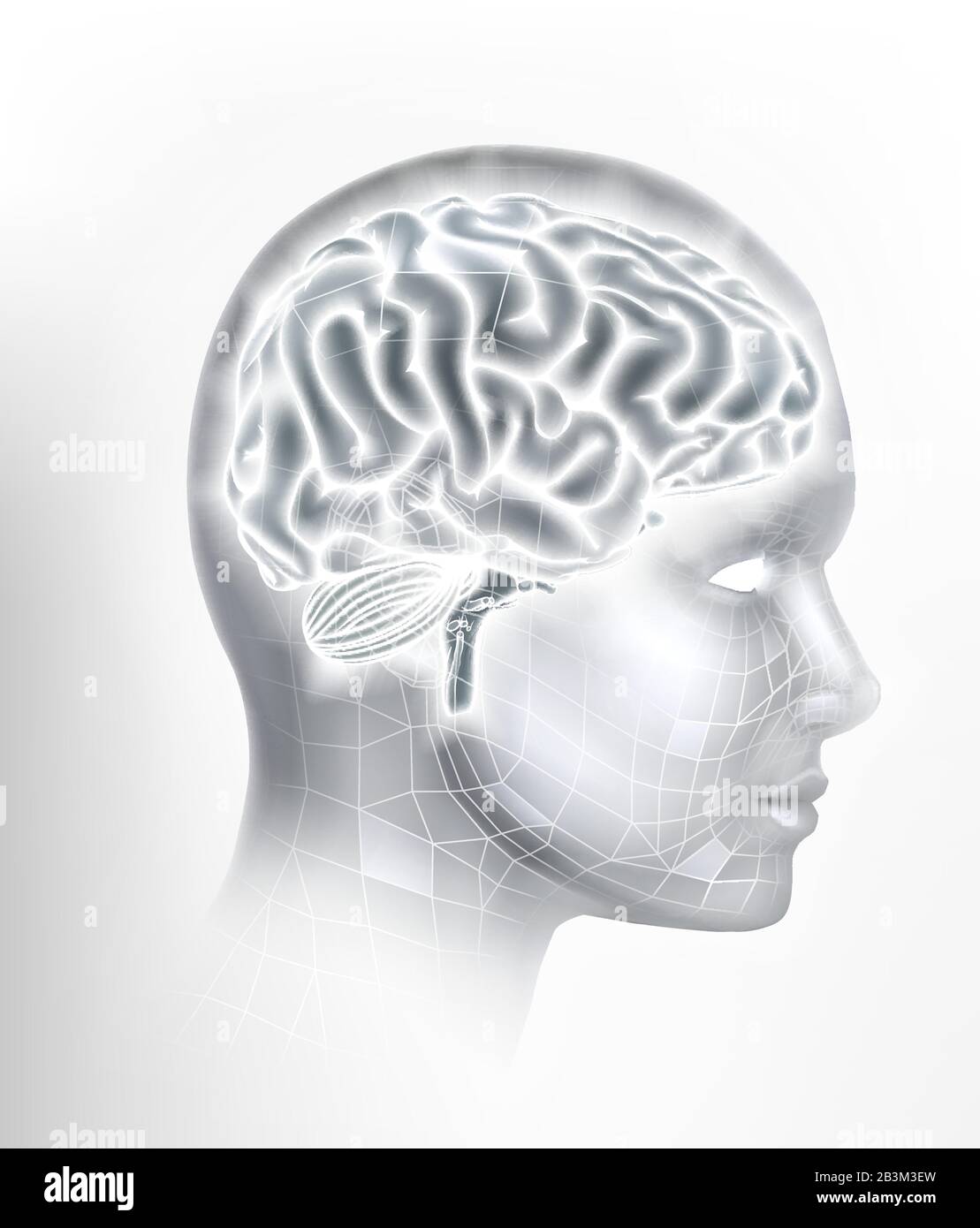 Human Brain AI Head Face Intelligence Concept Stock Vector