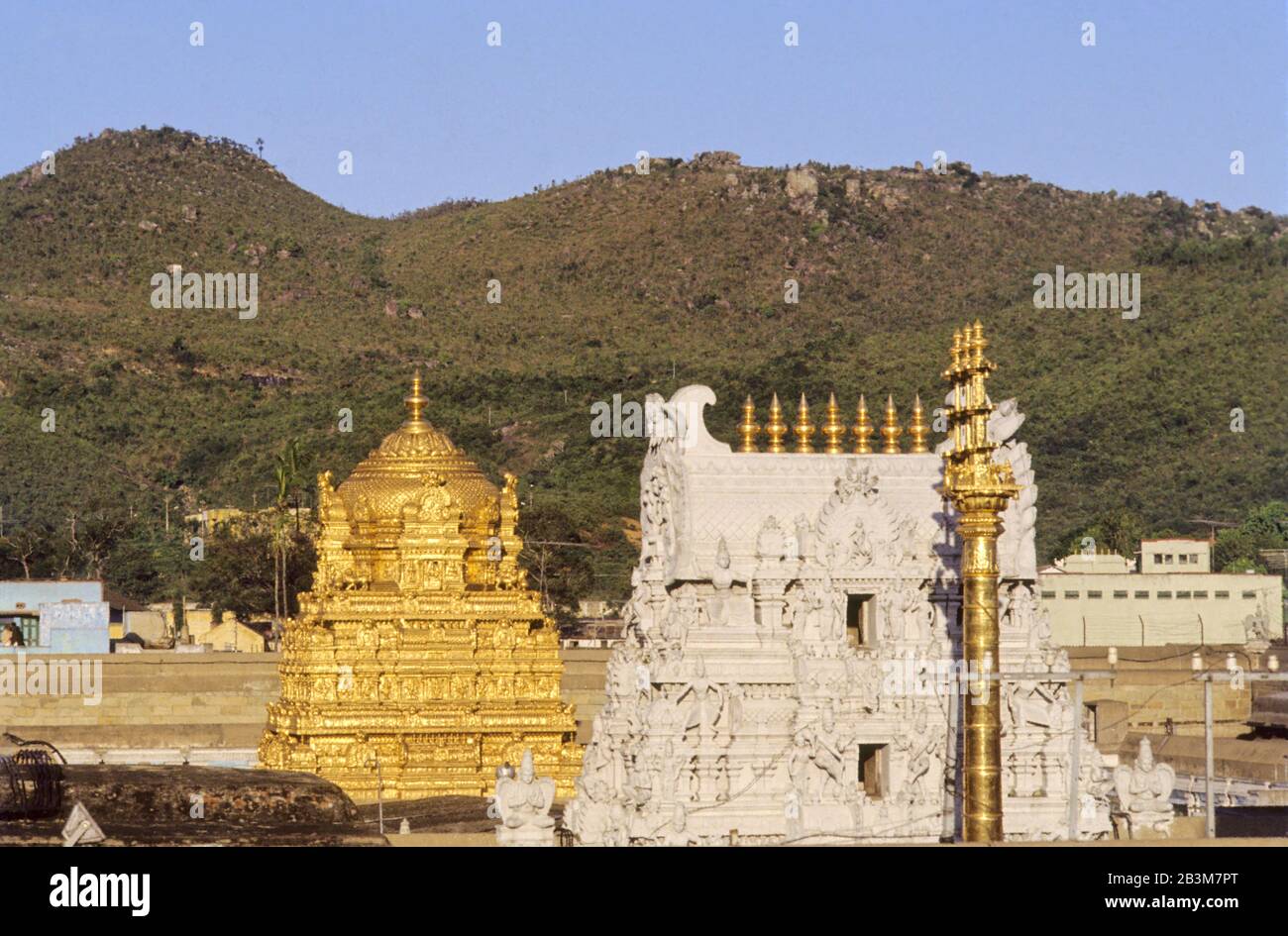tirupati balaji temple , andhra pradesh , India, Asia Stock Photo ...