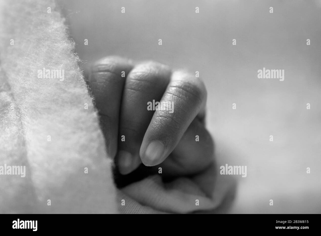 Close up photograph of a newborn baby's hand and fingers Stock Photo