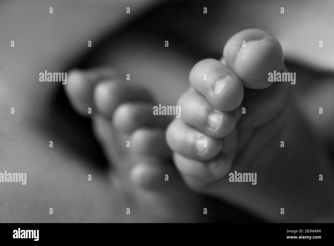 Close up photograph of a newborn baby's feet and toes Stock Photo Alamy
