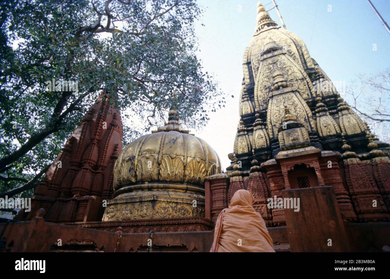 Kashi Vishwanath Hindu Shiva Temple, Banaras, Benaras, Varanasi, Uttar