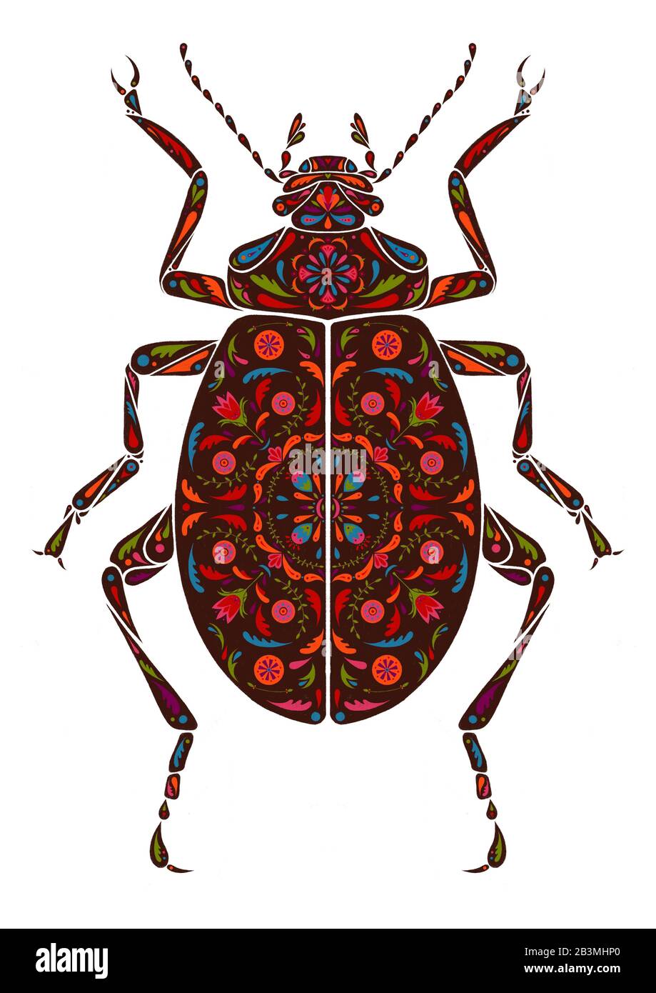 An illustration, a graphic with the dark brown, chocolate beetle isolated on a white background. Ornamental, ornately decorated beetle. Stock Photo