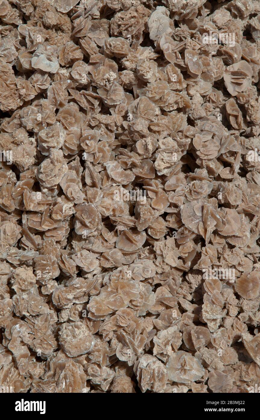 Such 'mineral flowers' are suggested for turists as a present in North Africa. Desert rose is the colloquial name given to rosette formations of the m Stock Photo