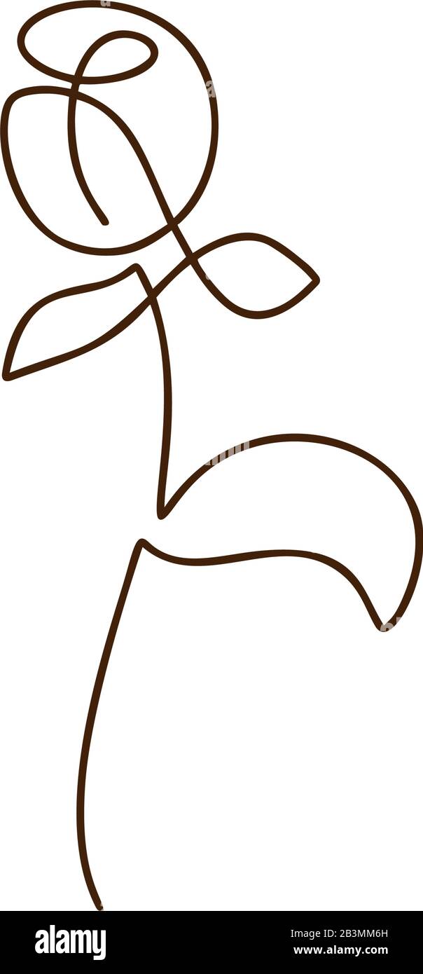 Easy Continuous Line Drawing