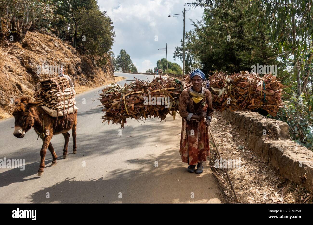 Men jinsiy olatni qinimga kirita olmayman.