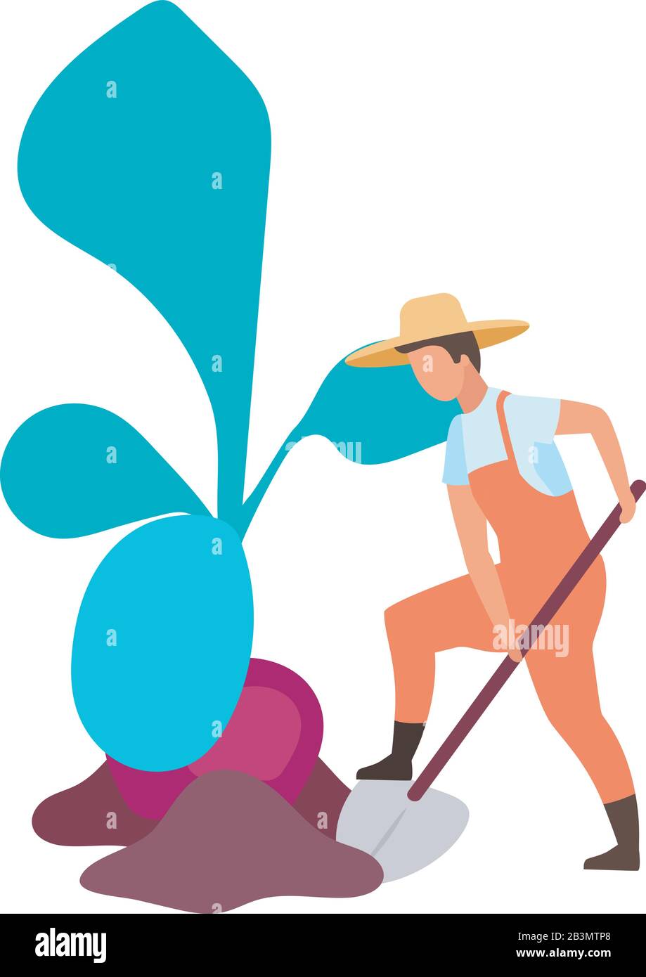 Root crops harvesting flat vector illustration. Farmer digging big beetroot. Autumn harvest concept. Farm worker working on field with shovel cartoon Stock Vector