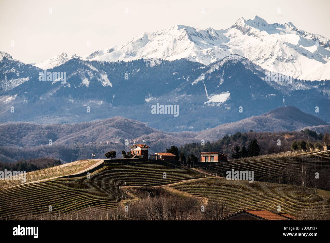 Wineyards in Gattinara, Italy Stock Photo