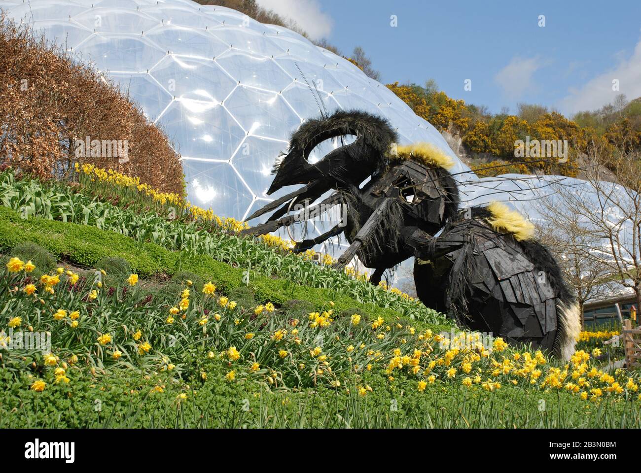 Bee at Eden Project Stock Photo
