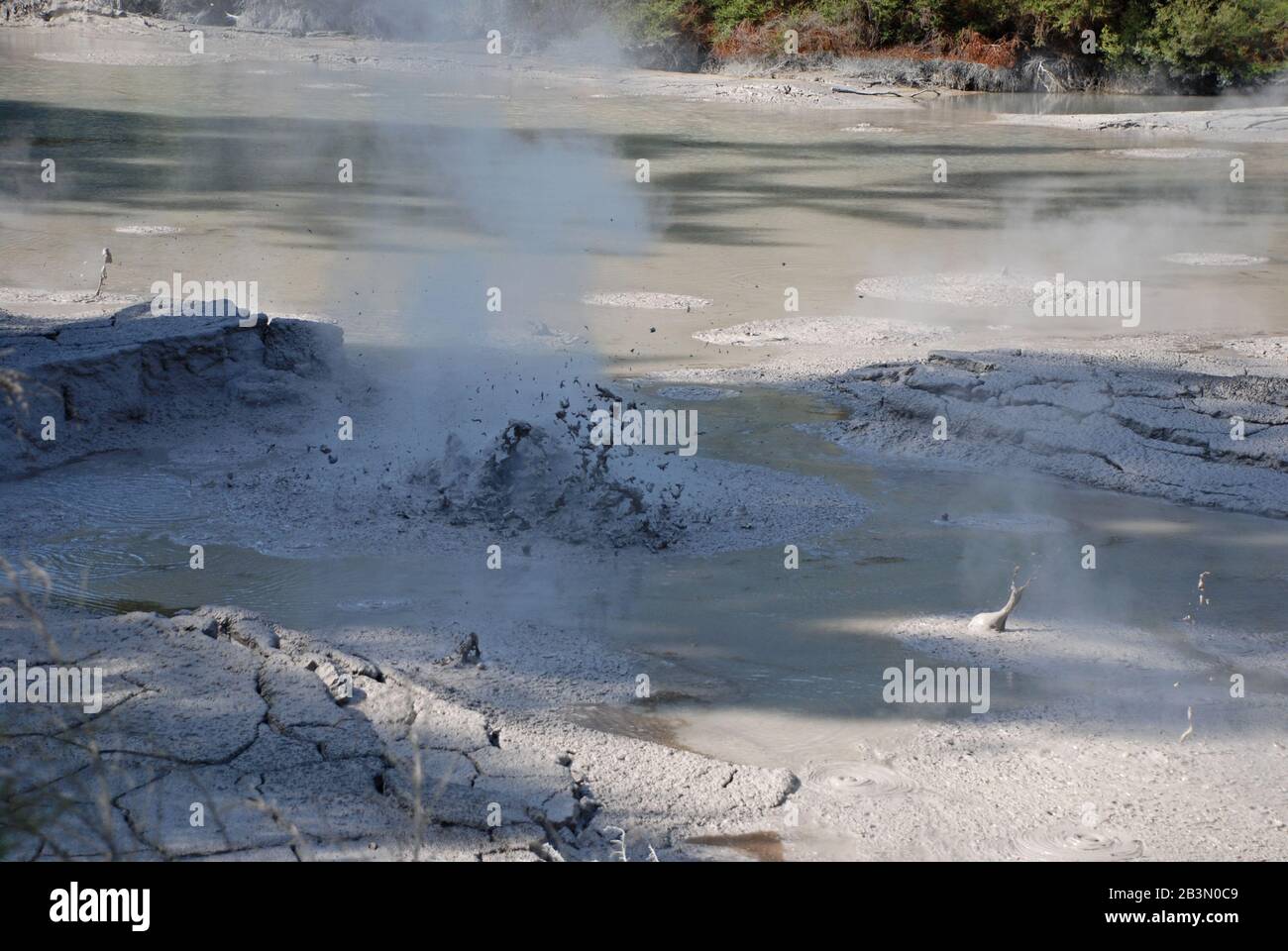 Boiling mud pool at Rotorua, New Zealand Stock Photo