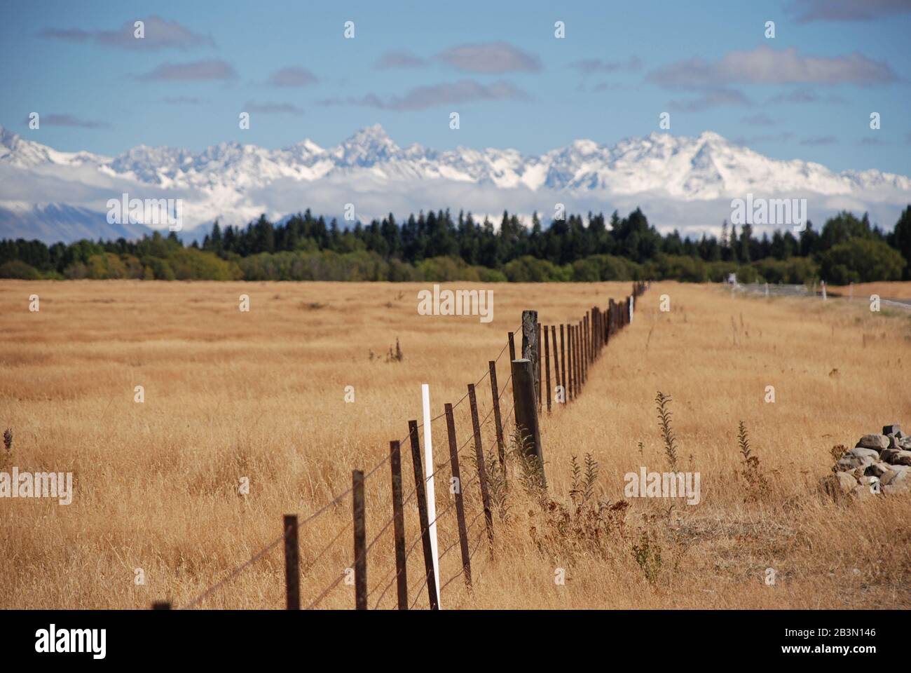 Typical farmland in New Zealand Stock Photo