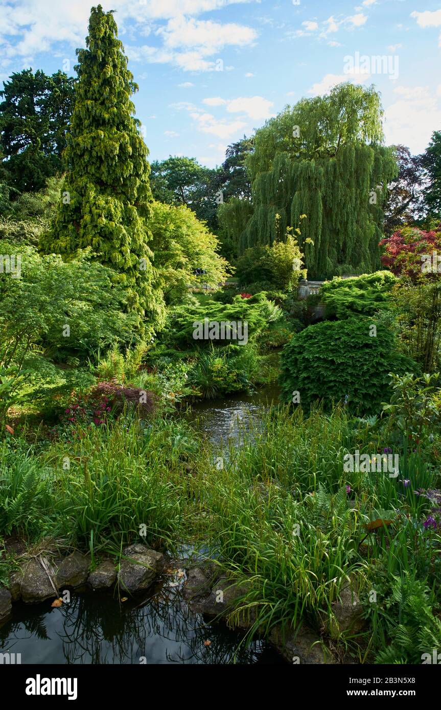 Ornamental gardens hires stock photography and images Alamy