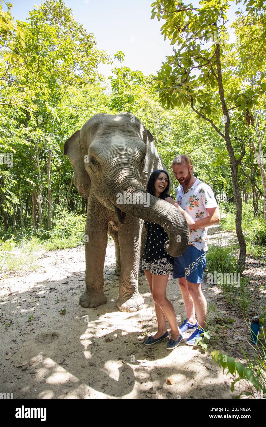 A young couple with a rescued elephant at Phnom Tamao Wildlife Rescue Center (PTWRC) run by Wildlife Alliance, near Phnom Penh, Cambodia, Indochina, S Stock Photo
