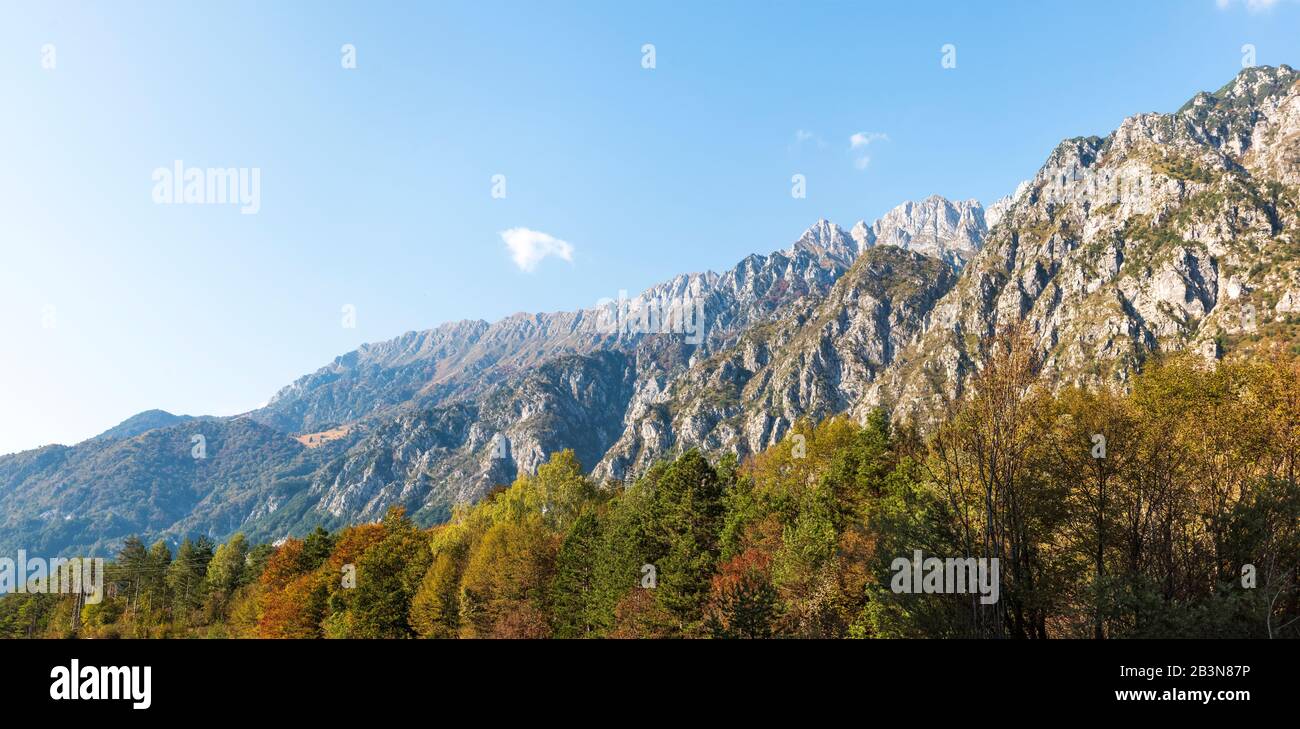 Panorama view of Mountain range (Musi, Julian Alps, north east Italy)  with forest in foreground. Stock Photo