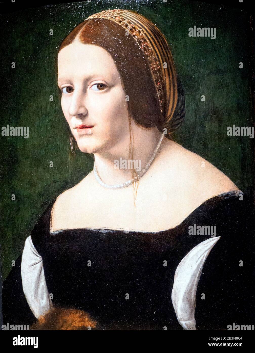 Portrait of a lady with otter by Giovanni Antonio Boltraffio (1467-1516) oil on wood Stock Photo