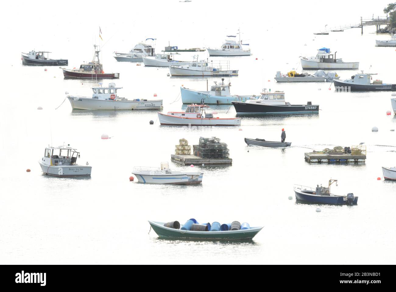 Fishing Fleet anchored in cove, Maine, New England, United States of America, North America Stock Photo