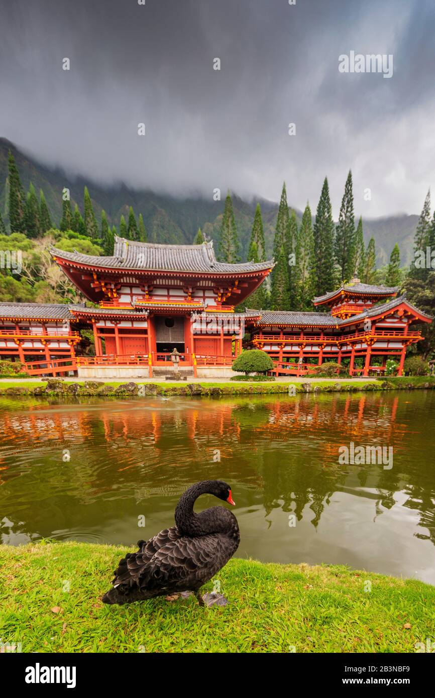 Byodo-in Japanese temple, Oahu Island, Hawaii, United States of America, North America Stock Photo