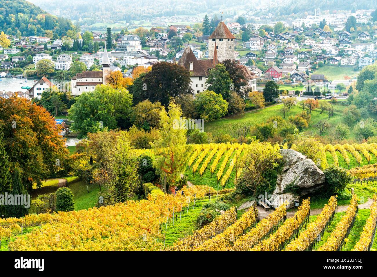 Spiez vineyard hires stock photography and images Alamy