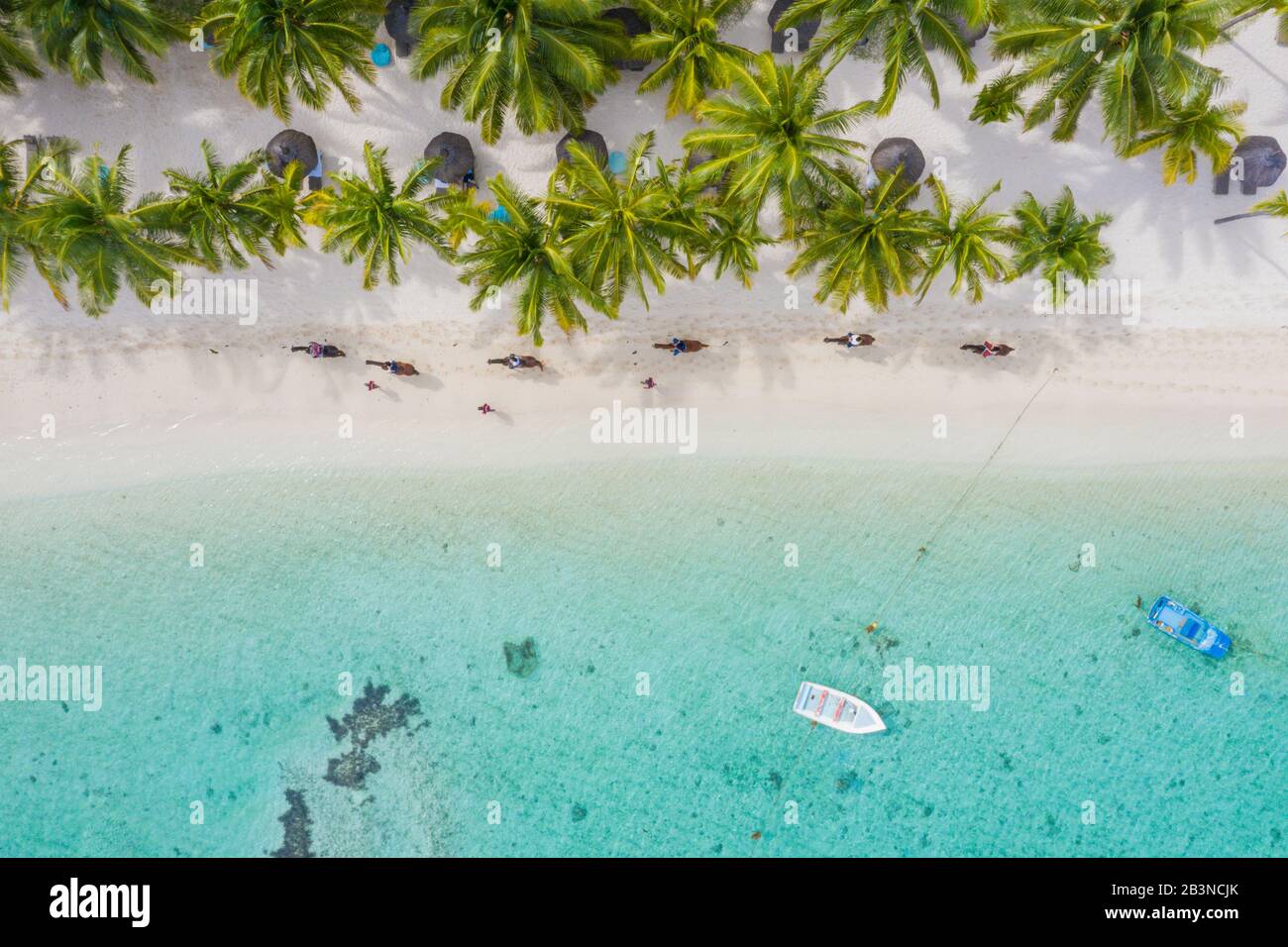 Tourists riding horses on palm-fringed beach, aerial view, Le Morne Brabant peninsula, Black River, Mauritius, Indian Ocean, Africa Stock Photo