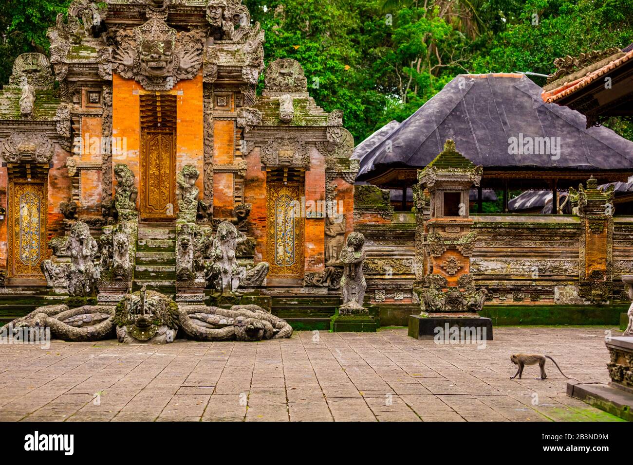 The Sacred Monkey Forest, home to 700 monkeys, Ubud, Bali, Indonesia, Southeast Asia, Asia Stock Photo