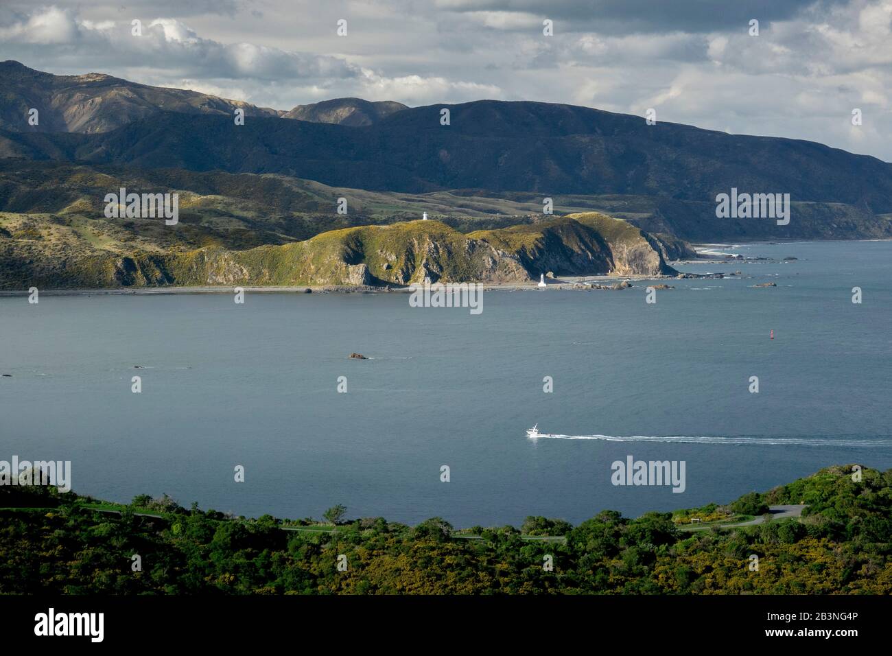 Wellington, North Island, New Zealand, Pacific Stock Photo