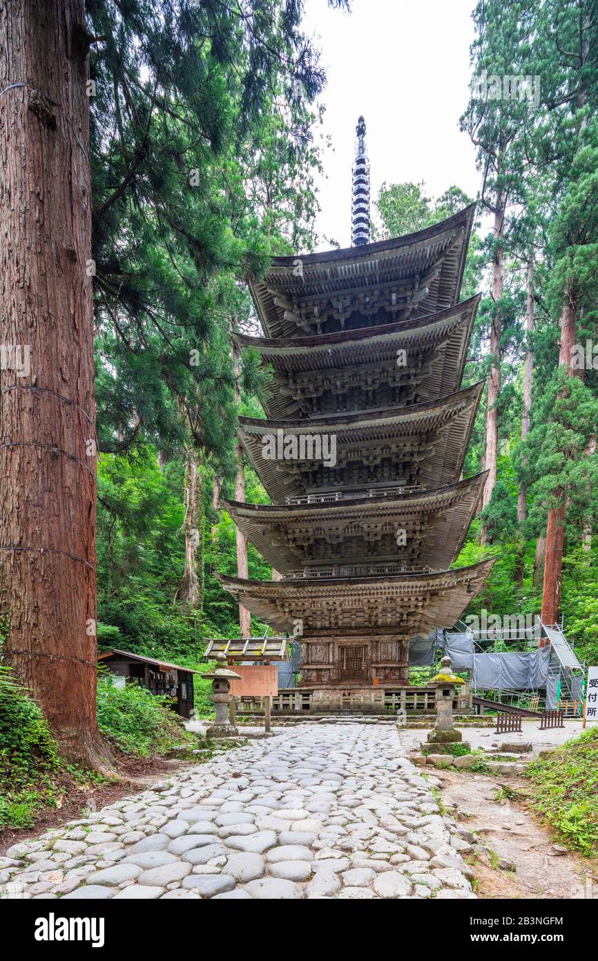 Five storey pagoda, Dewa sanzan Hagurosan temple, Yamagata Prefecture, Honshu, Japan, Asia Stock Photo