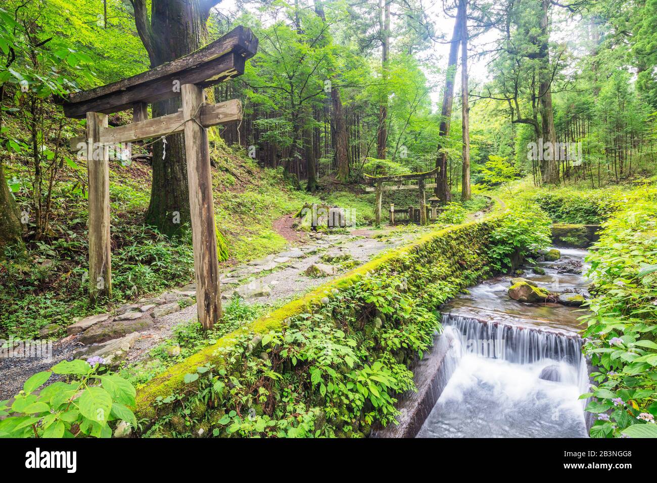 Kitano Shrine torii gate, Nikko, UNESCO World Heritage Site, Tochigi prefecture, Honshu, Japan, Asia Stock Photo