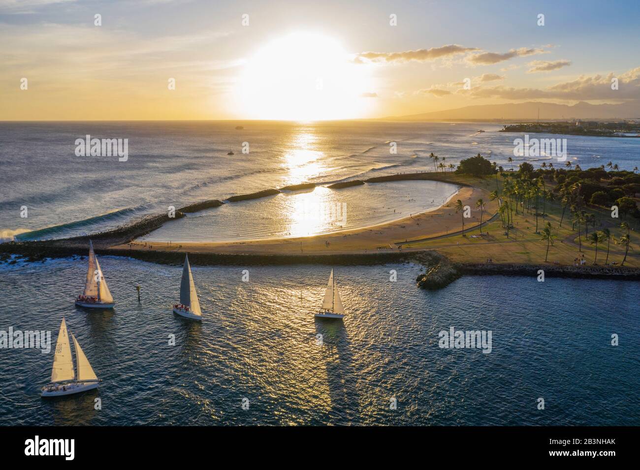Waikiki aerial tree hi-res stock photography and images - Alamy