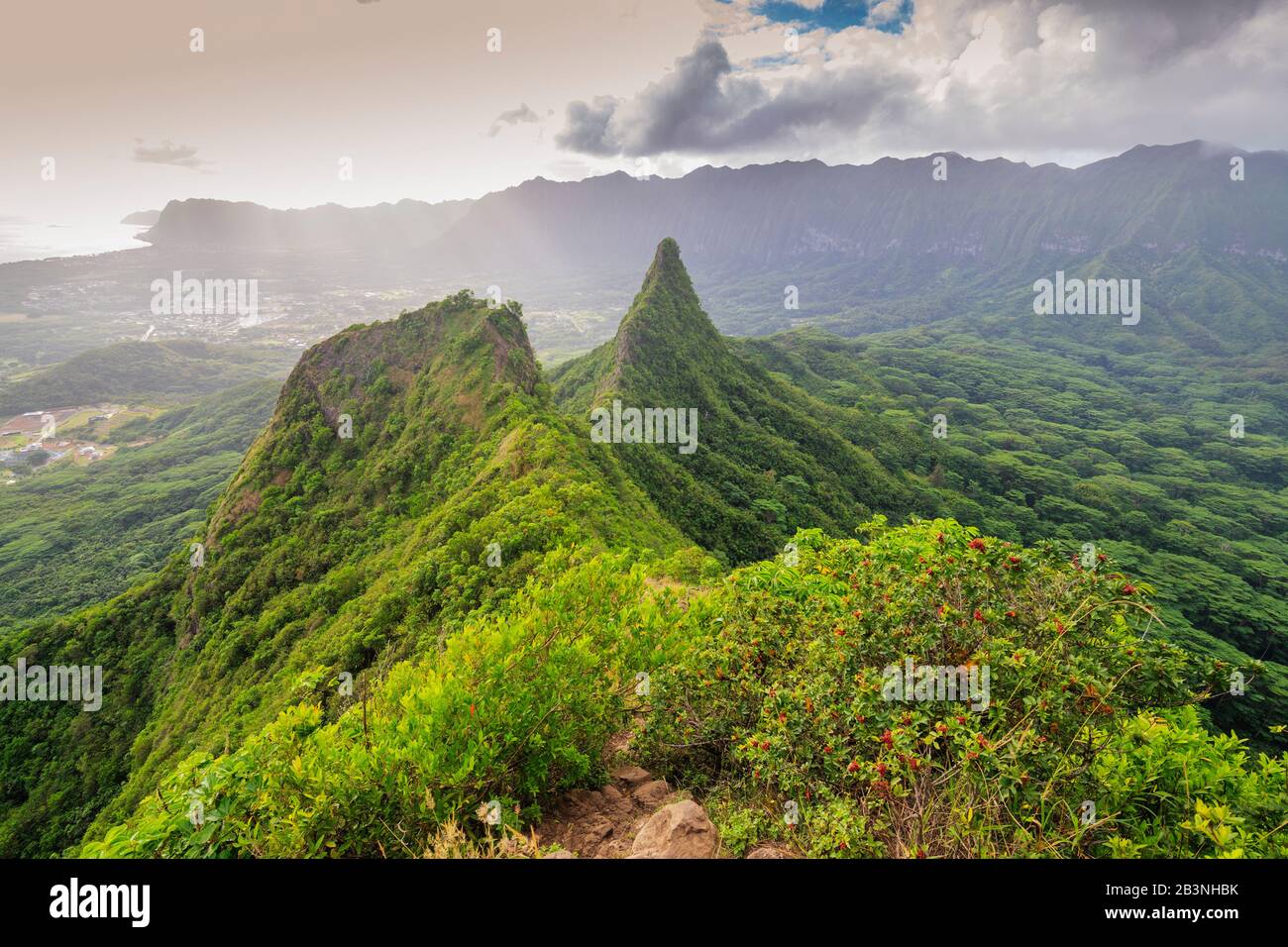 Three Peaks trail, Oahu Island, Hawaii, United States of America, North America Stock Photo