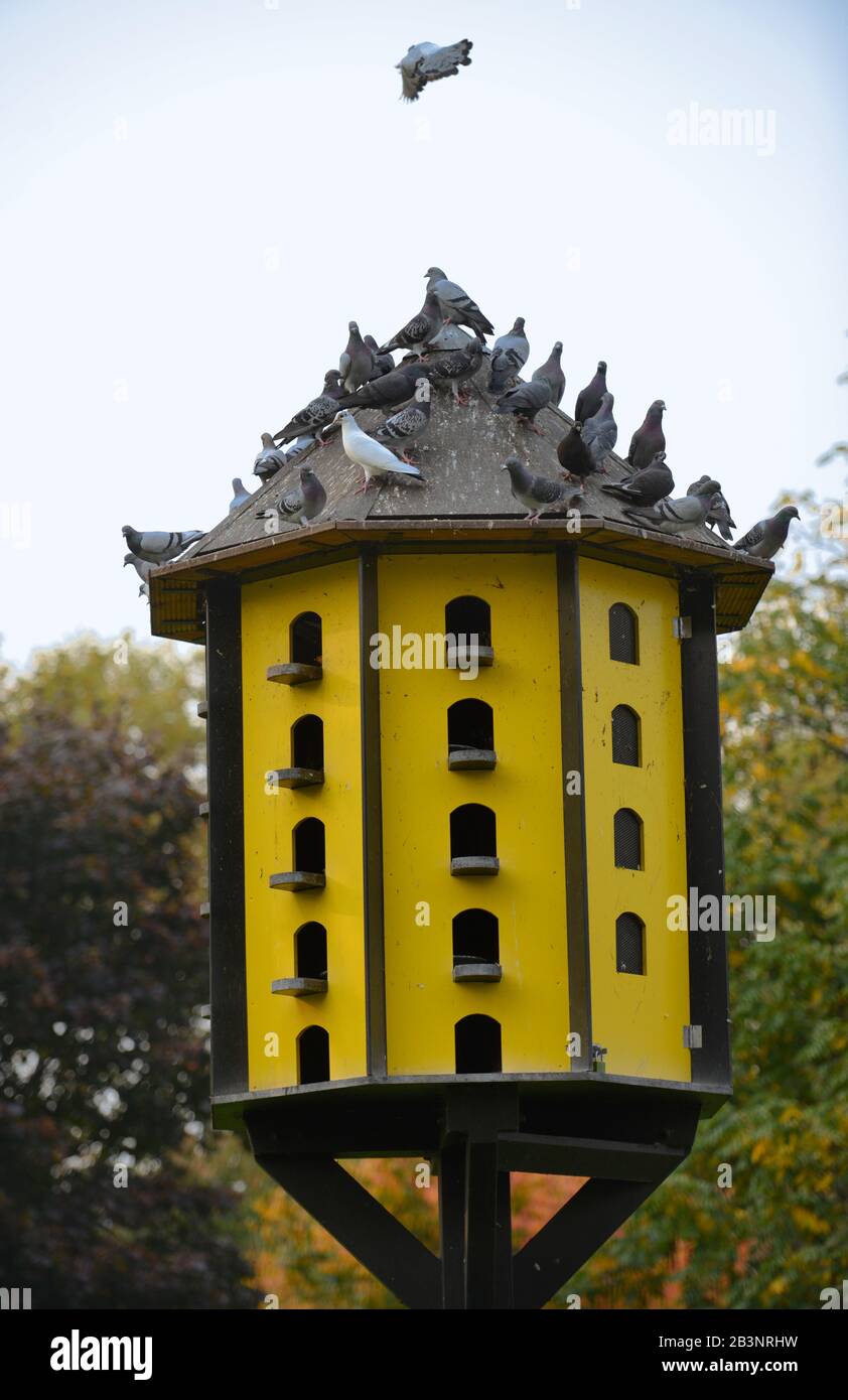 Taubenhaus, Stadtgarten, Dortmund, Nordrhein-Westfalen, Deutschland Stock Photo