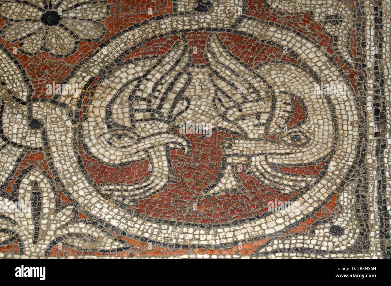 c12th Crocodile Floor Mosaic, part of a Medieval Bestiary, Ganagobie Abbey or Abbaye Notre-Dame de Ganagobie Alpes-de-Hautes-Provence Provence Stock Photo