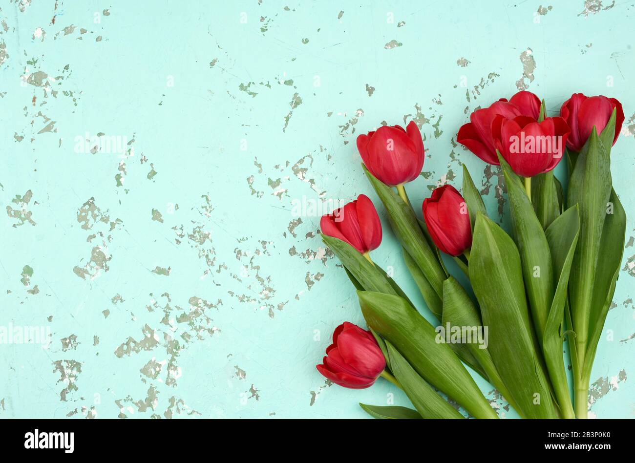 bouquet of red blooming tulips with green stems and leaves on a green ...