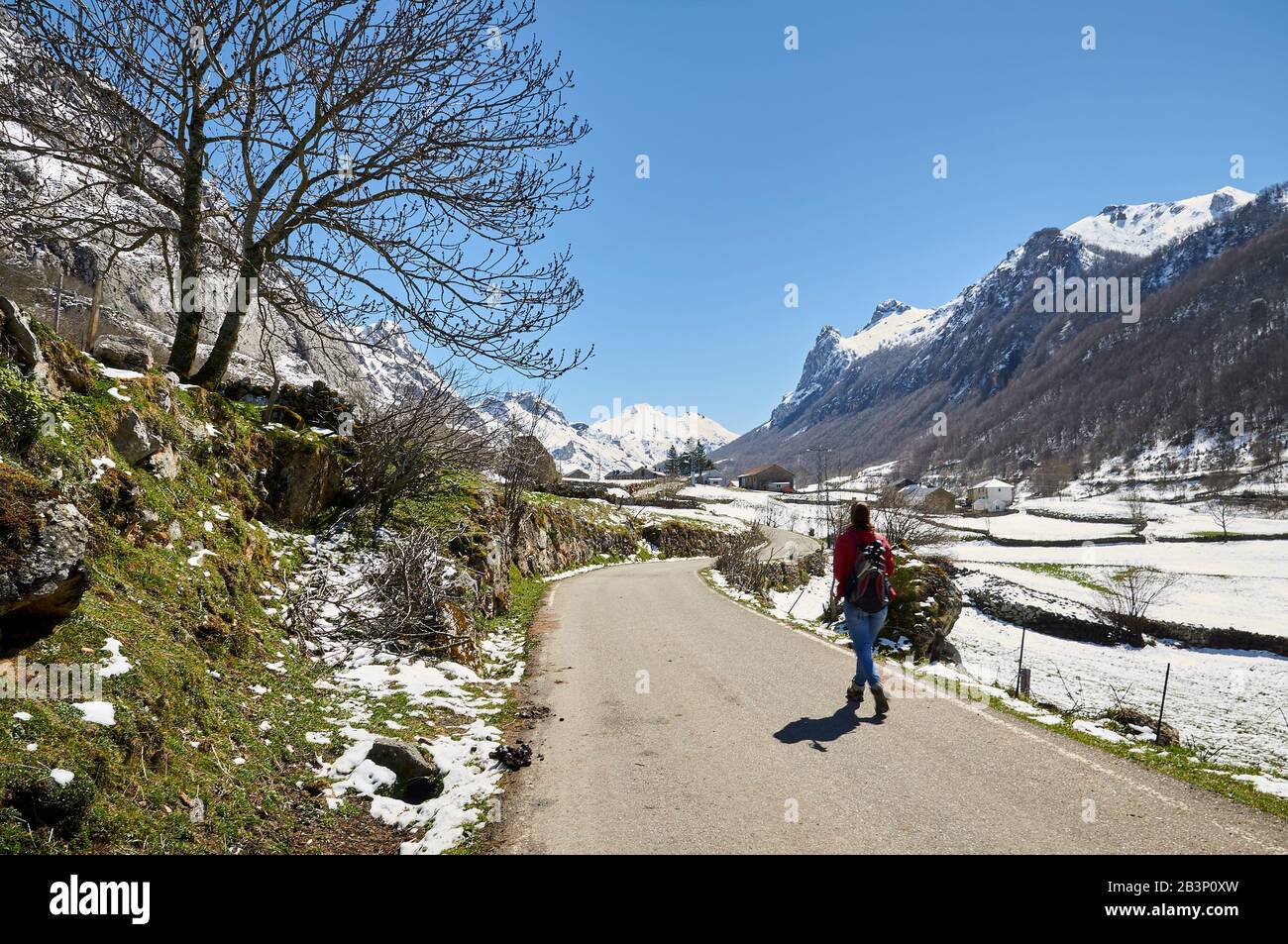 Female hiker in PR.AS-15 hike trail path with snowy mountains in the distance (Valle del Lago, Somiedo Natural Park, Asturias, Spain) Stock Photo