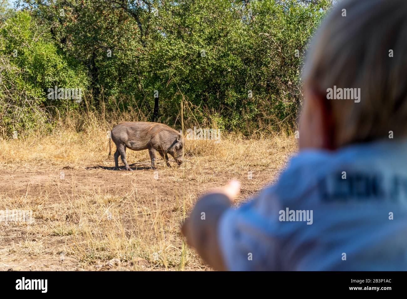 Baby boy enjoying safari with javelin in Kruger National Park, South Africa Stock Photo