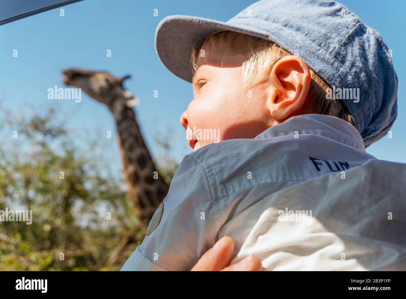 Baby boy enjoying safari with giraffe in Kruger National Park, South Africa Stock Photo